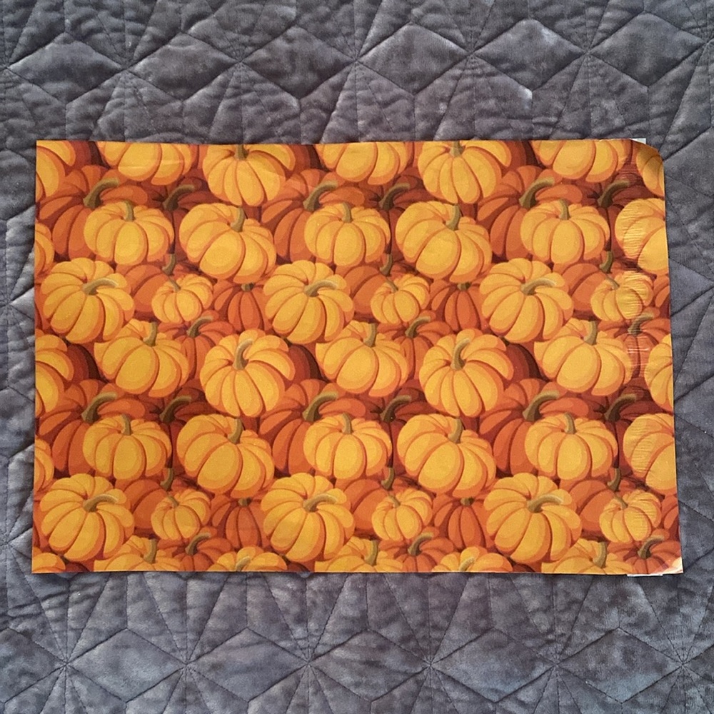 Pumpkin Designer Printed Poly Mailers Shipping Envelopes Bags 10x13 (25 Pack) - Picture 3 of 8